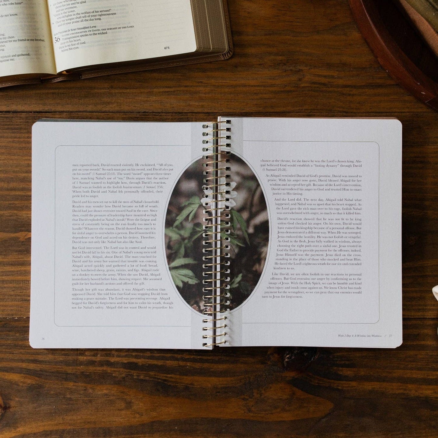 Peaks and Valleys Spiral Bible Study