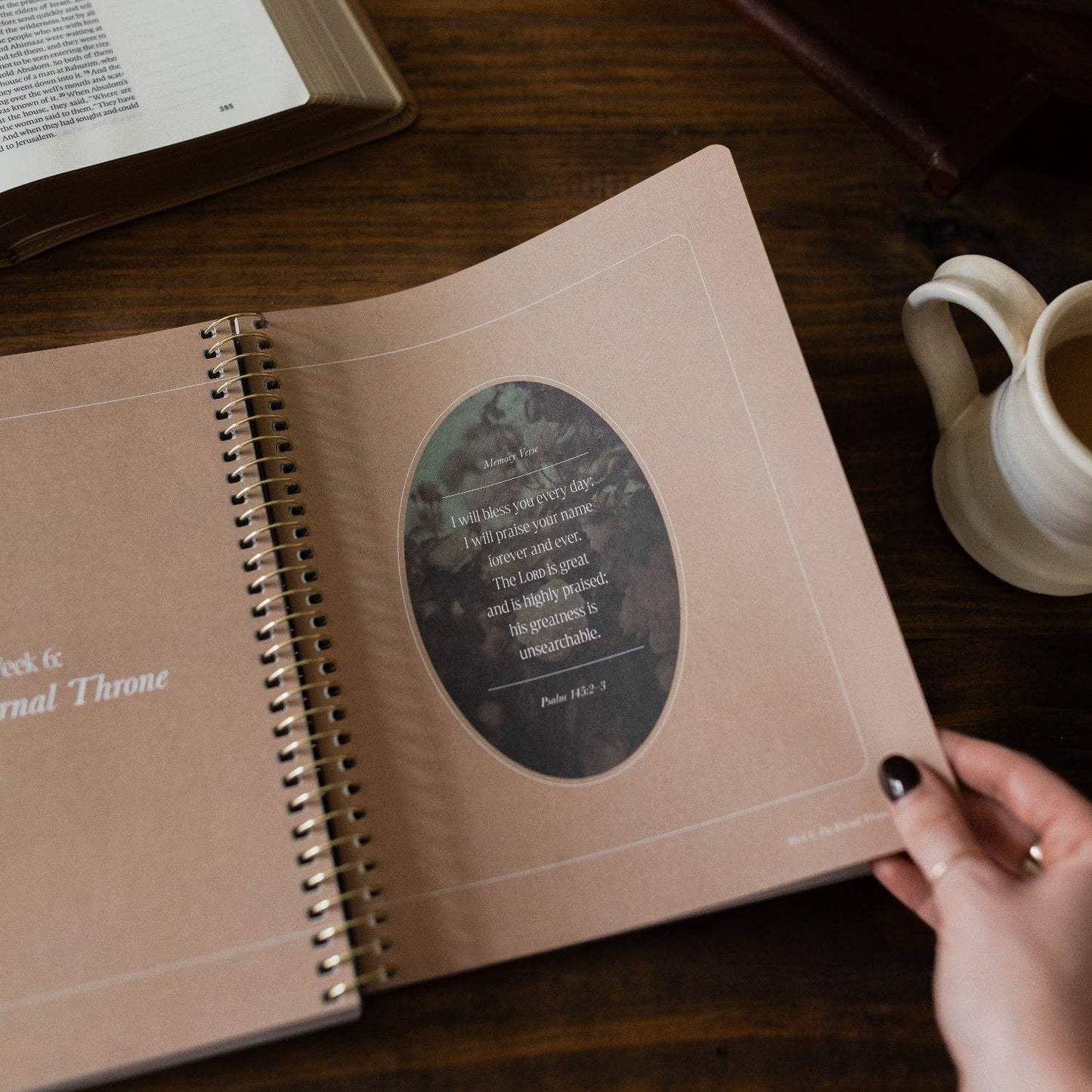 Peaks and Valleys Spiral Bible Study