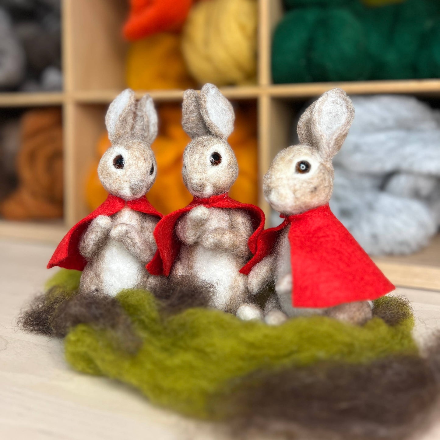 Beatrix Potter Flopsy Mopsy & Cotton-tail Needle Felting Kit