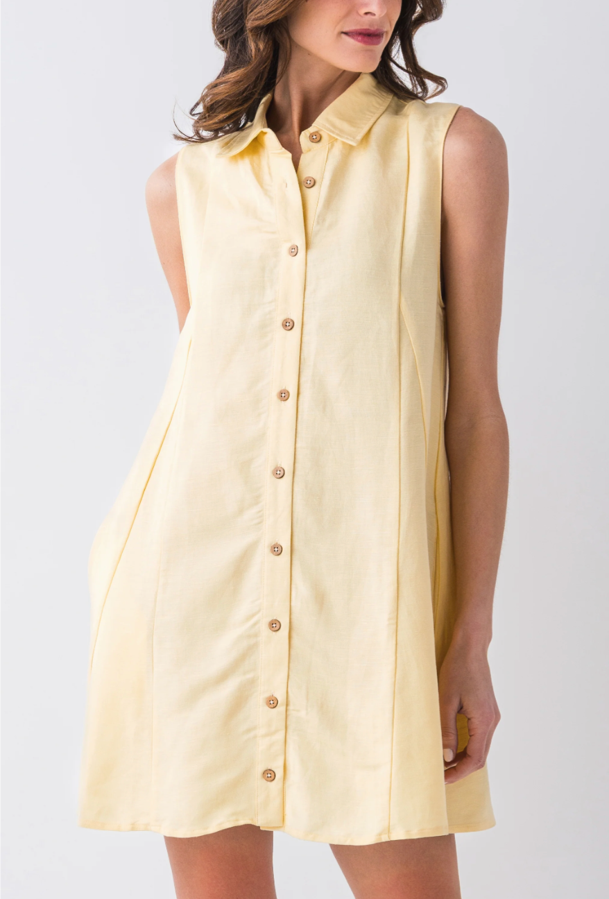 Collared Button Up Dress