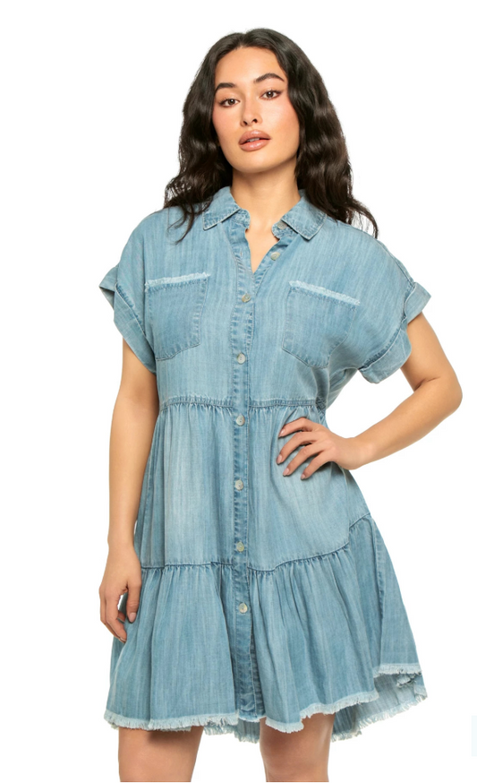 Denim Dress Shirt Flair Dress