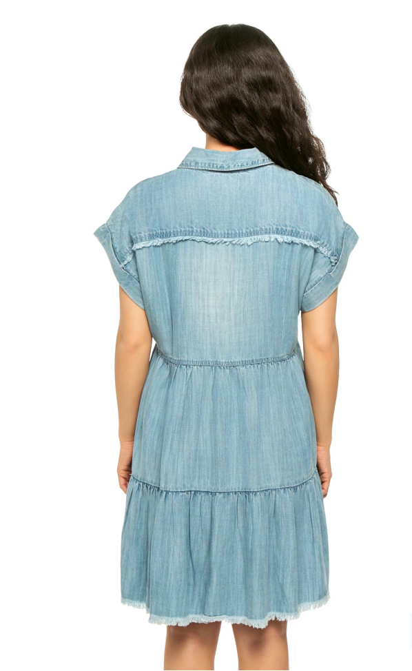 Denim Dress Shirt Flair Dress