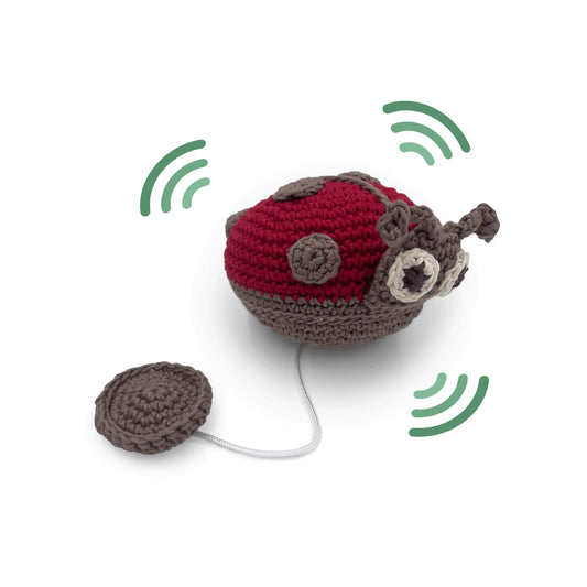 Soothing Baby Bug Toy