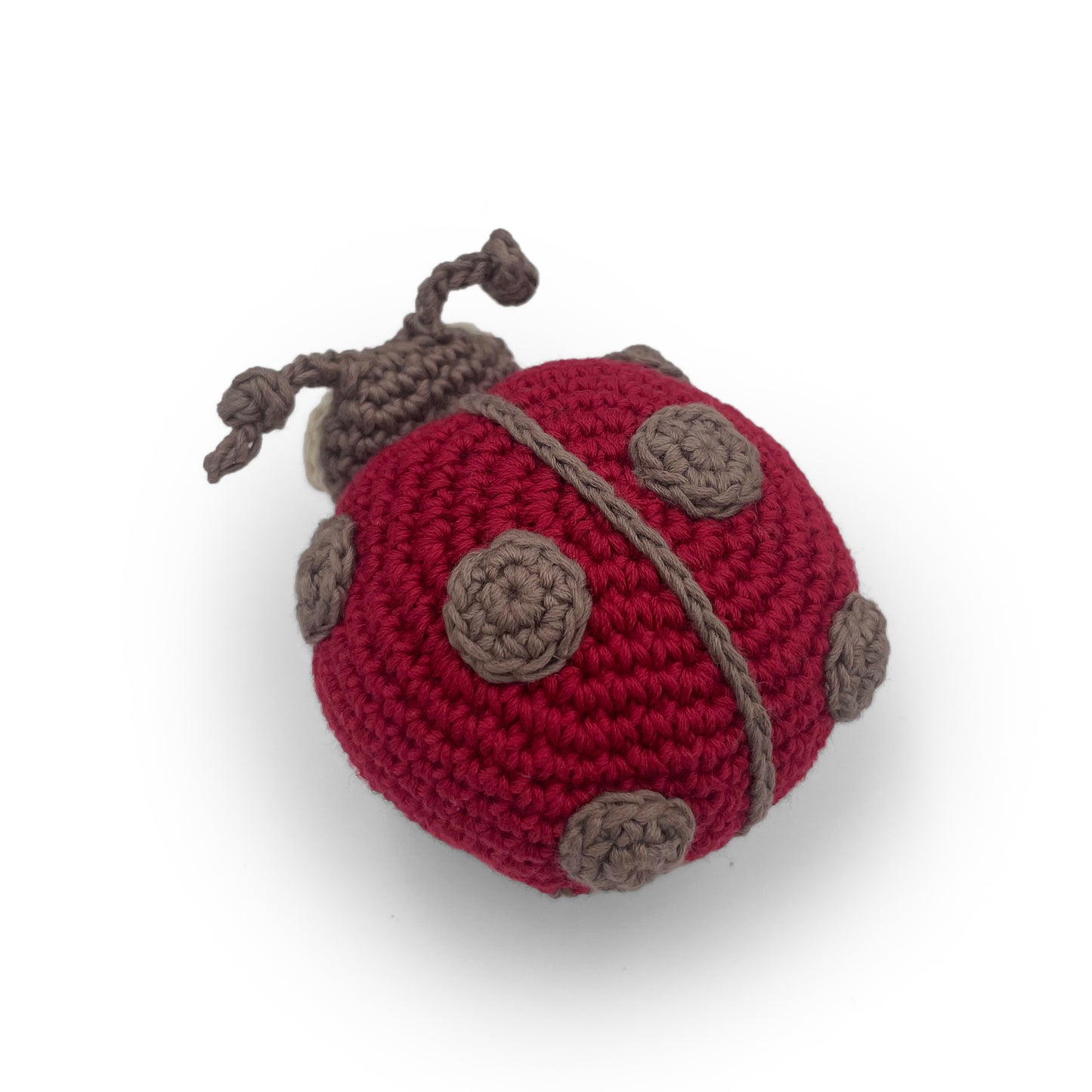 Soothing Baby Bug Toy