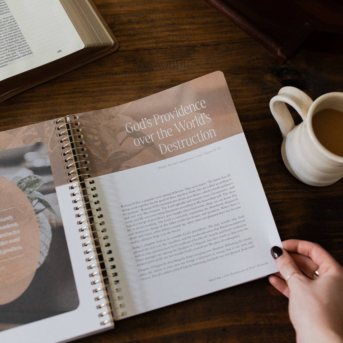 Peaks and Valleys Spiral Bible Study