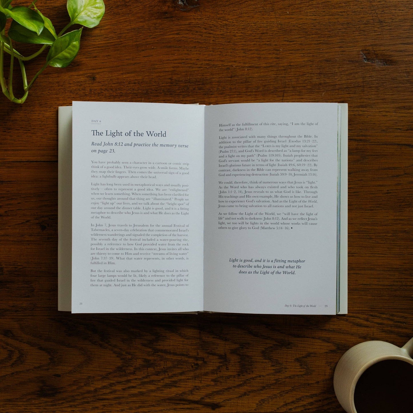 Forty Sayings of Jesus Hardcover Bible Study