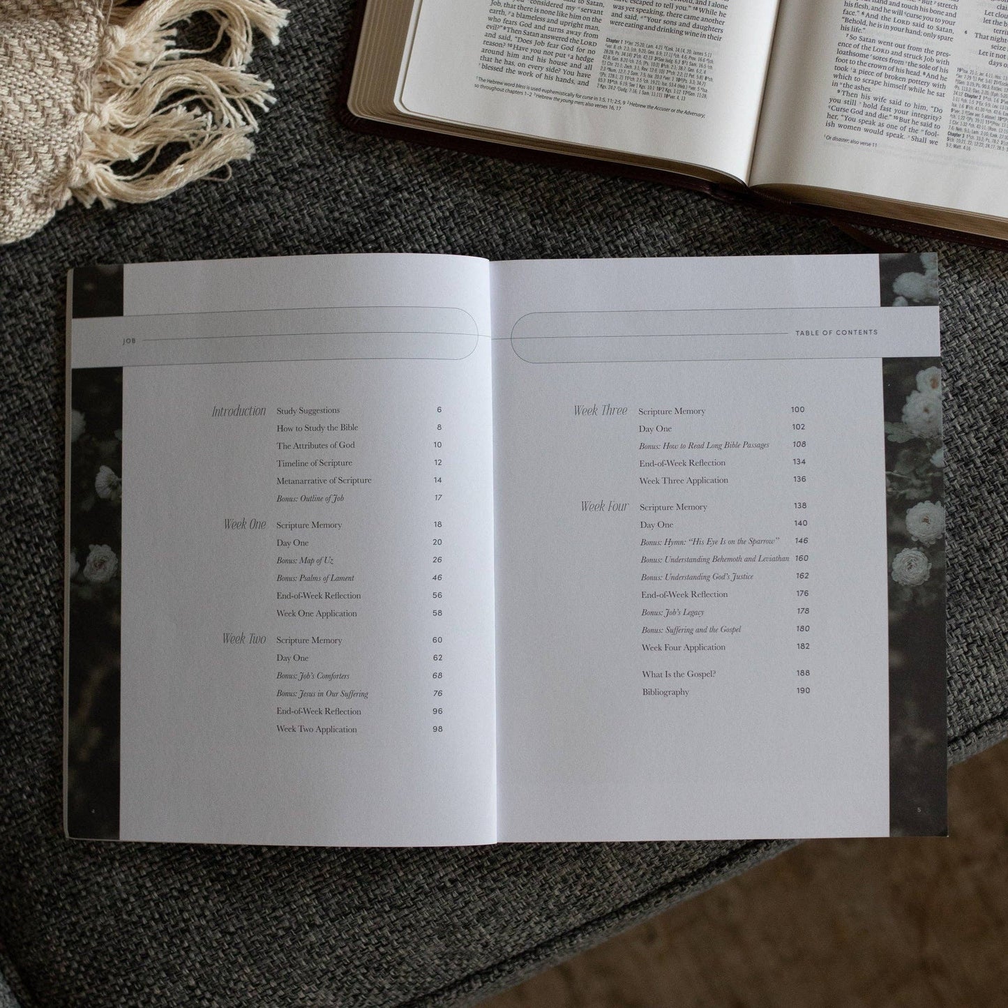 Job Bible Study