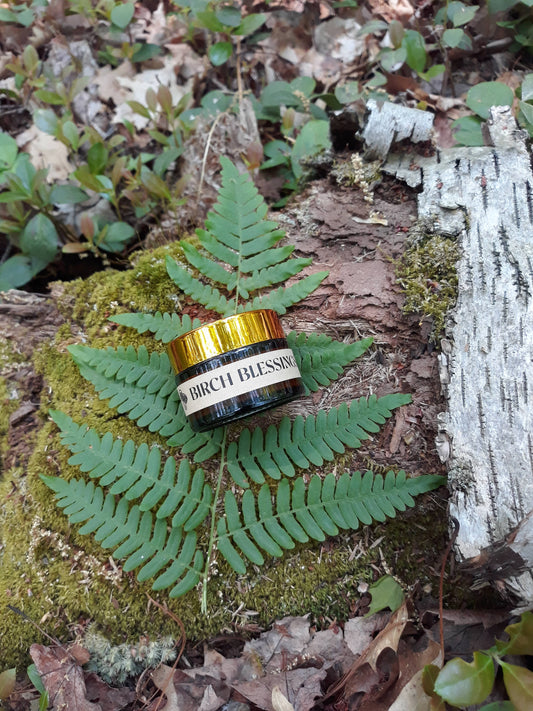 Birch Blessings Symbiotic Facial Cream