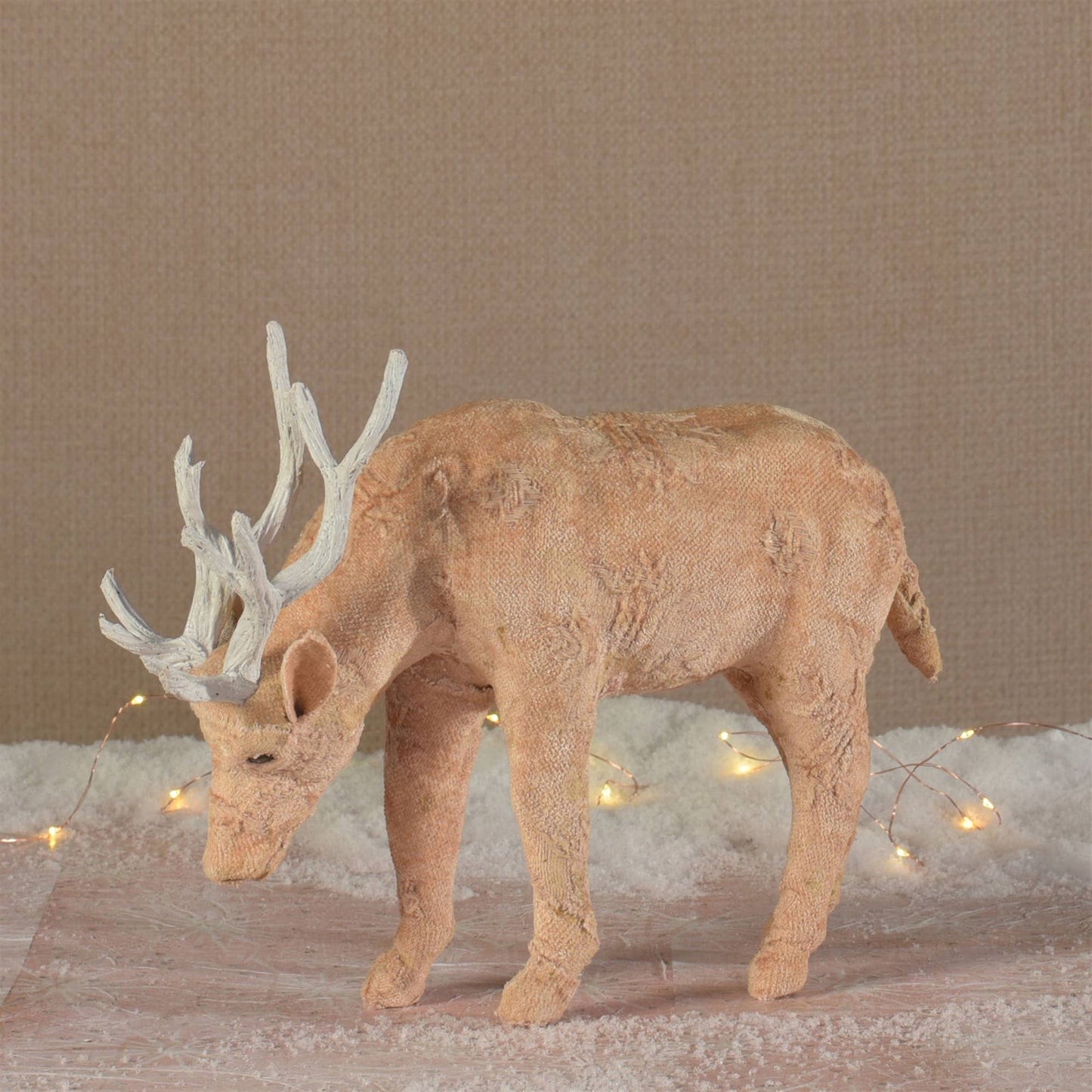 Small Blush Stag Grazing