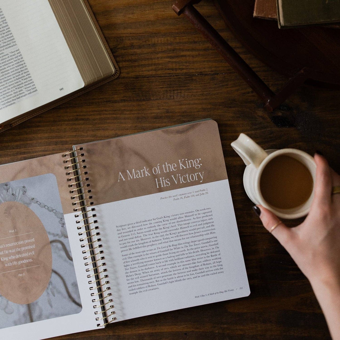 Peaks and Valleys Spiral Bible Study