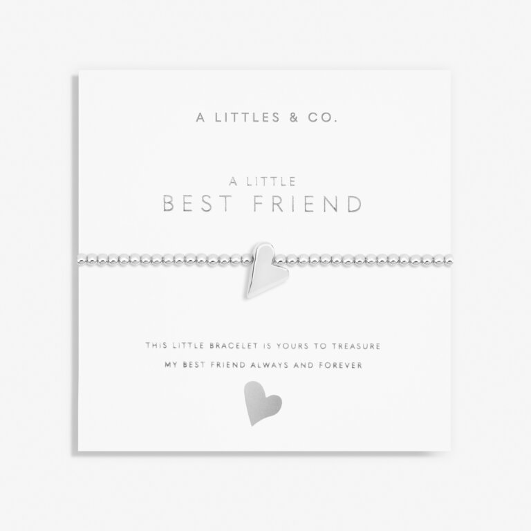 Best Friend Silver Adult Bracelet