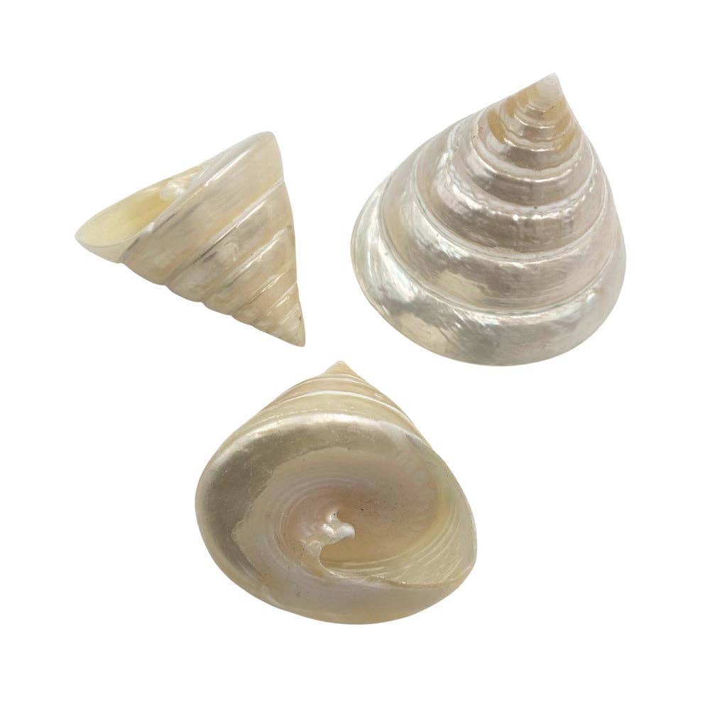 Pyramid Top Pearl