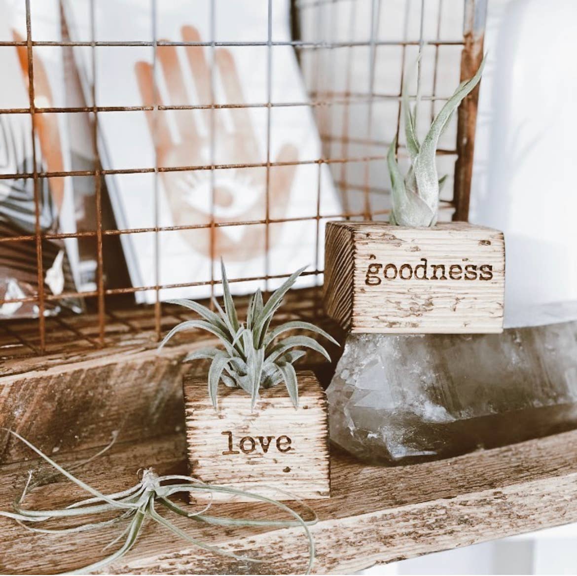 Salvaged Wooden Engraved Air Plant Holder