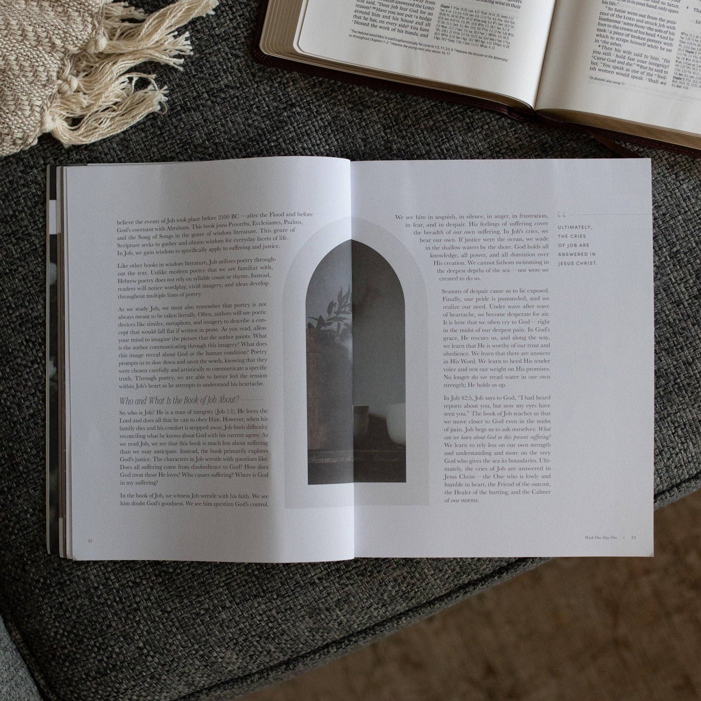 Job Bible Study