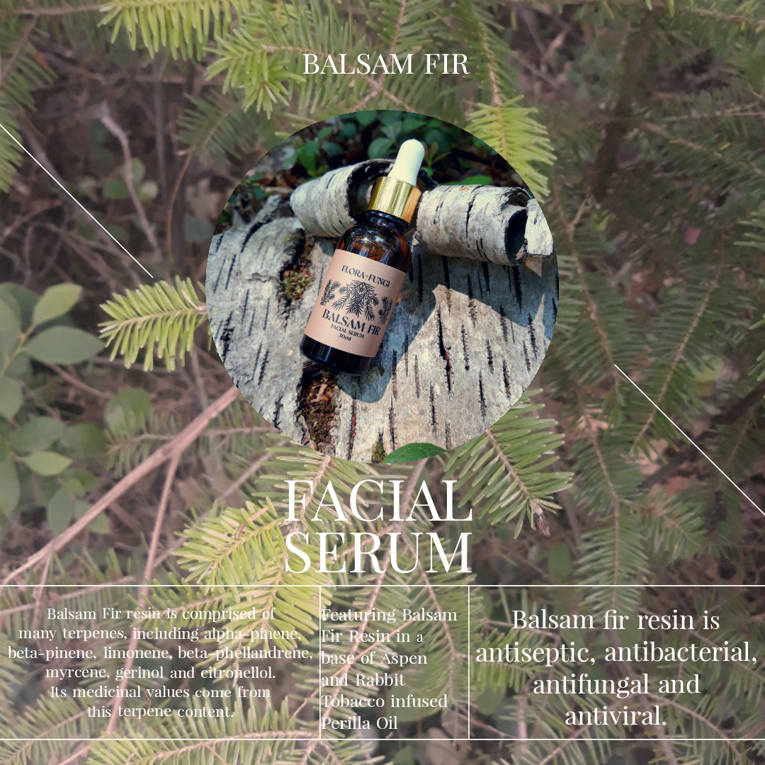 Balsam Fir Serum