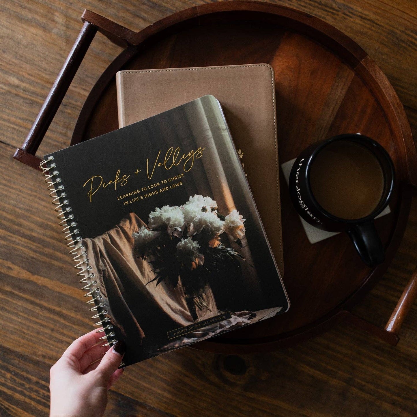 Peaks and Valleys Spiral Bible Study