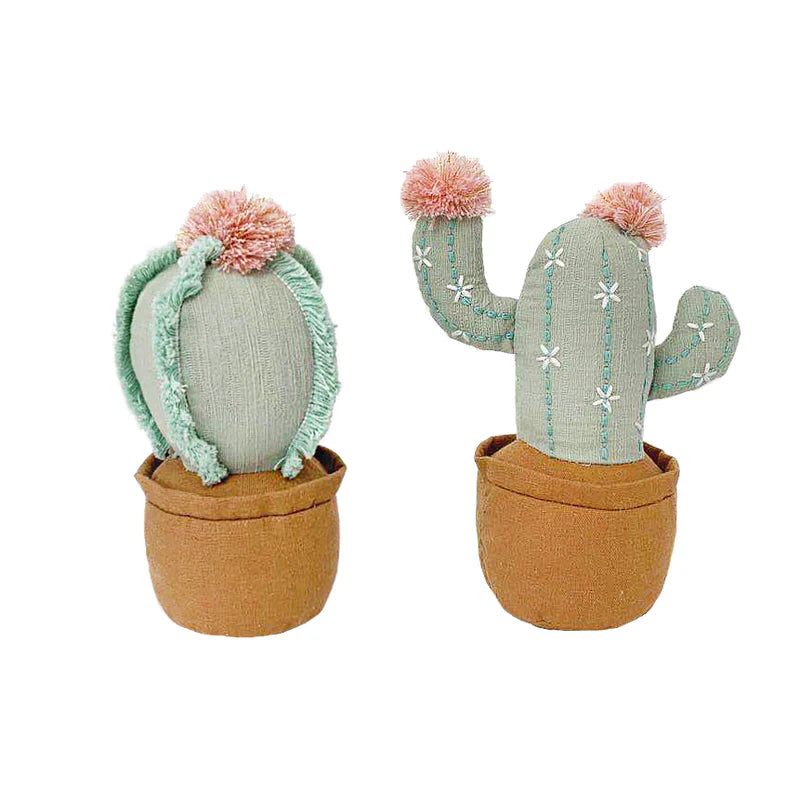 plant pot sitters Cactus Pot Shelf Sitter