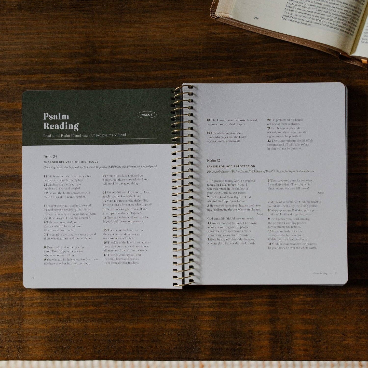 Peaks and Valleys Men's Bible Study