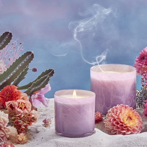 Midnight Cactus Desert Villa|LAFCO Candles