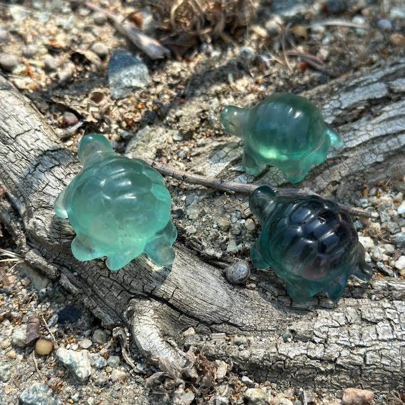 Green Fluorite Turtle - 1 pc