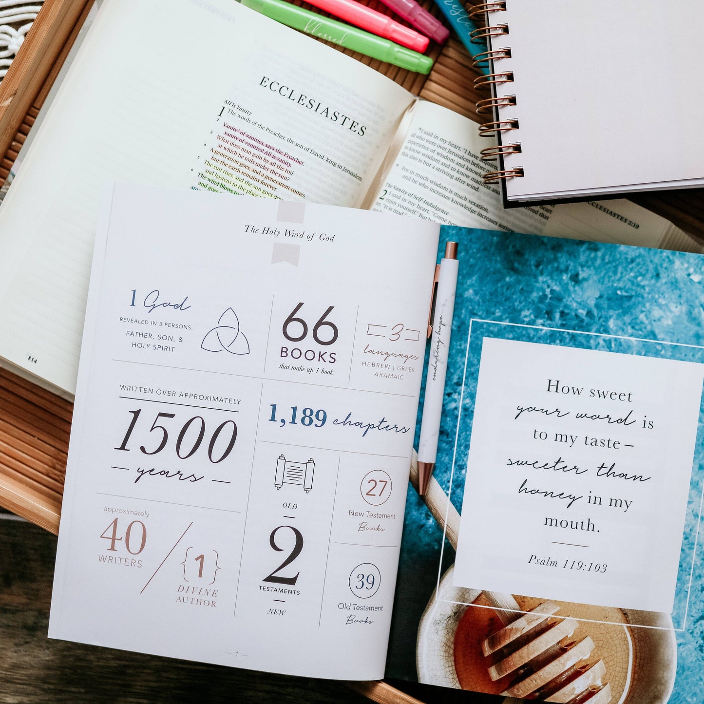 Amen | 5 Week Study | The Story of Scripture from Eden to Eternity