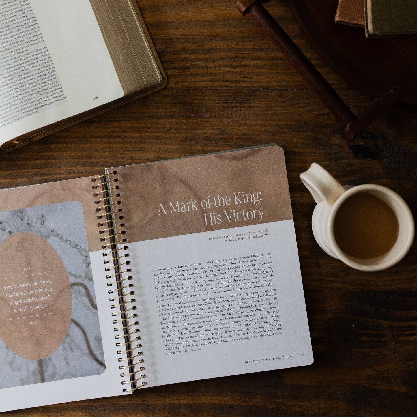 Peaks and Valleys Spiral Bible Study