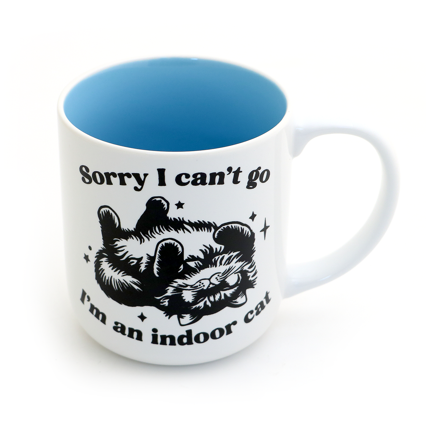 Indoor Cat mug, introverted cat lover, funny cat mug
