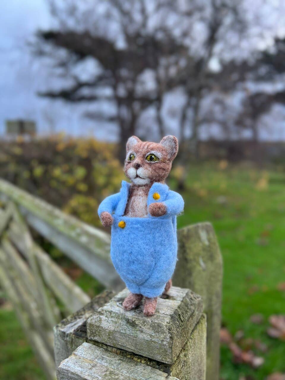 Beatrix Potter - Tom Kitten Needle Felting