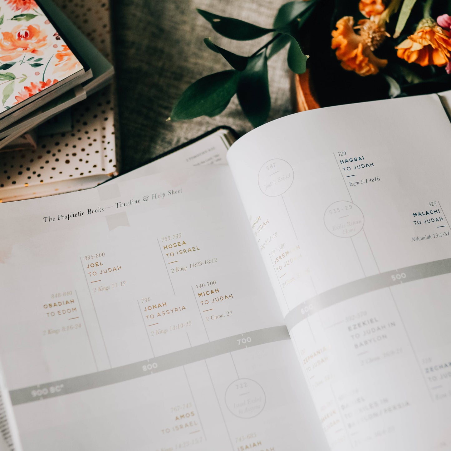 Amen | 5 Week Study | The Story of Scripture from Eden to Eternity