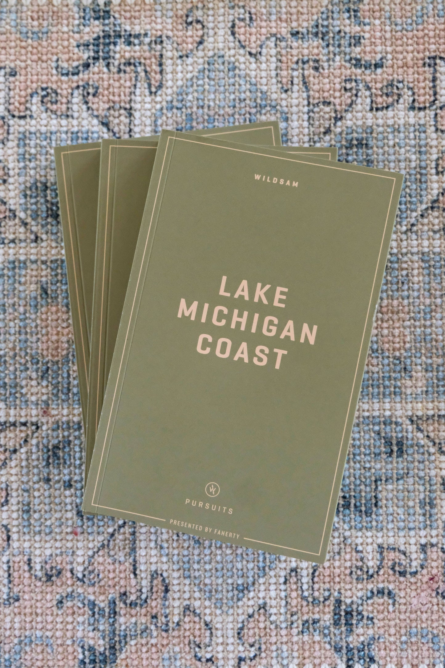 Lake Michigan Coast Field Guide Book