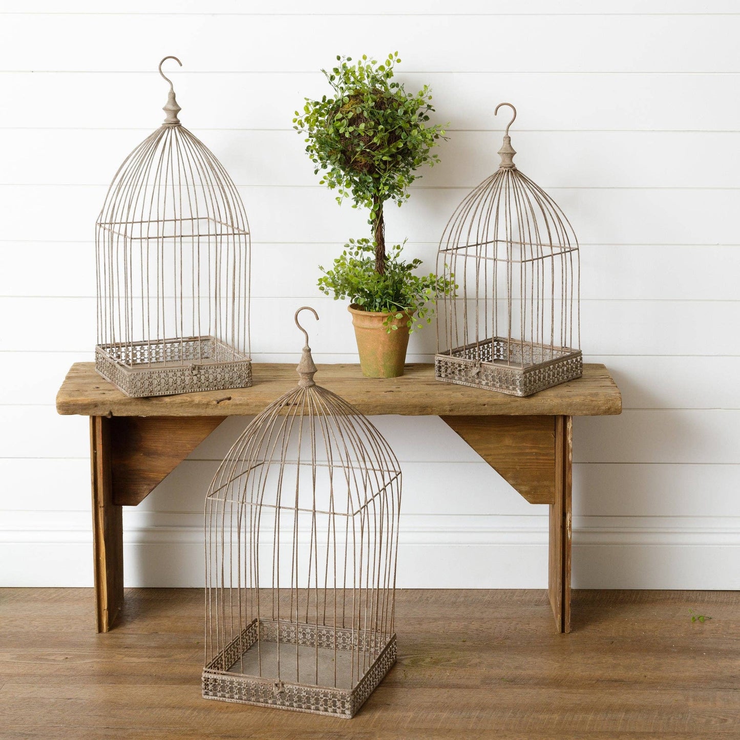 Hanging Bird Cages (Set Of 03)