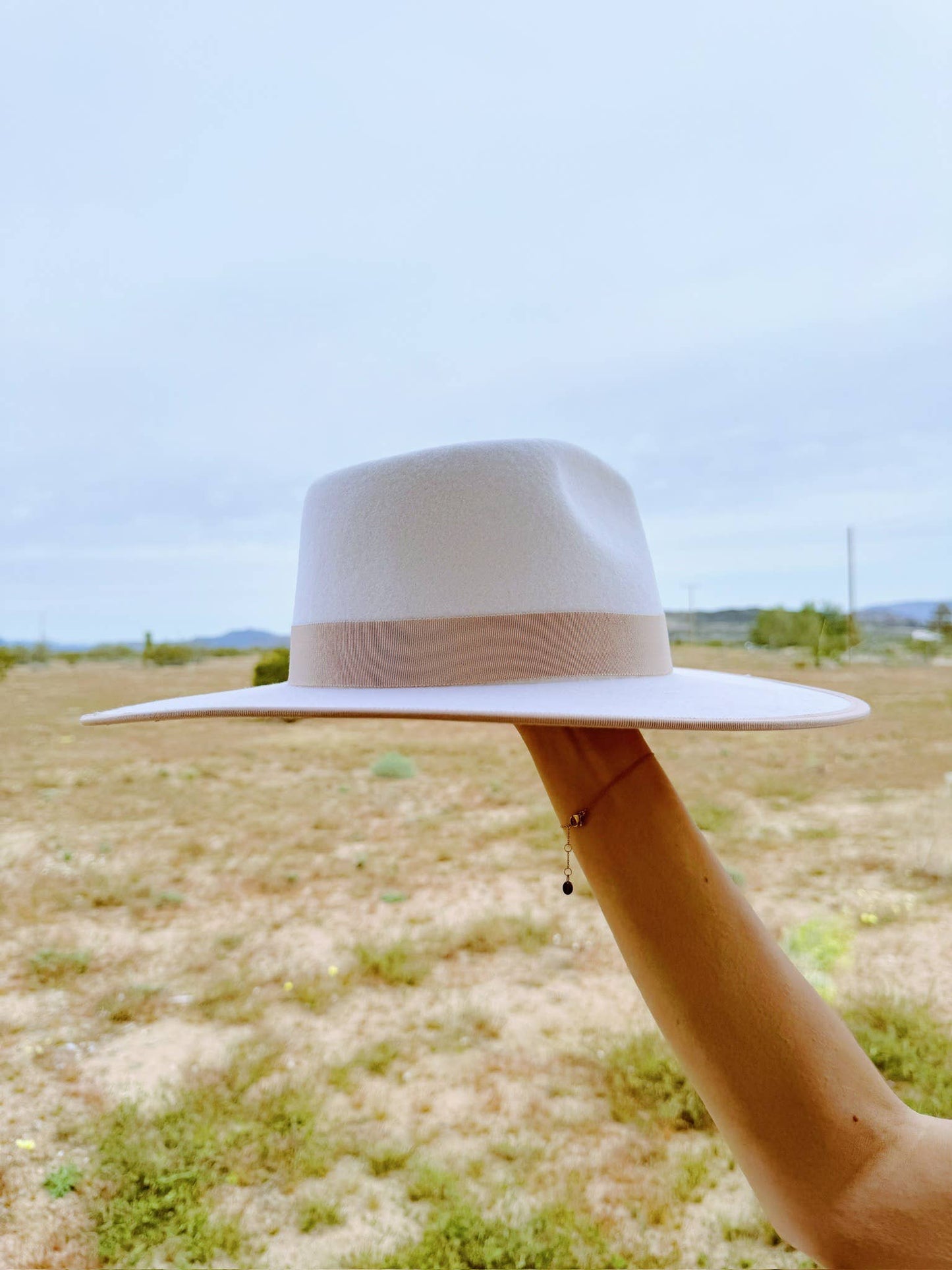 The Bonnie Hat (rancher, fedora, wool hat)