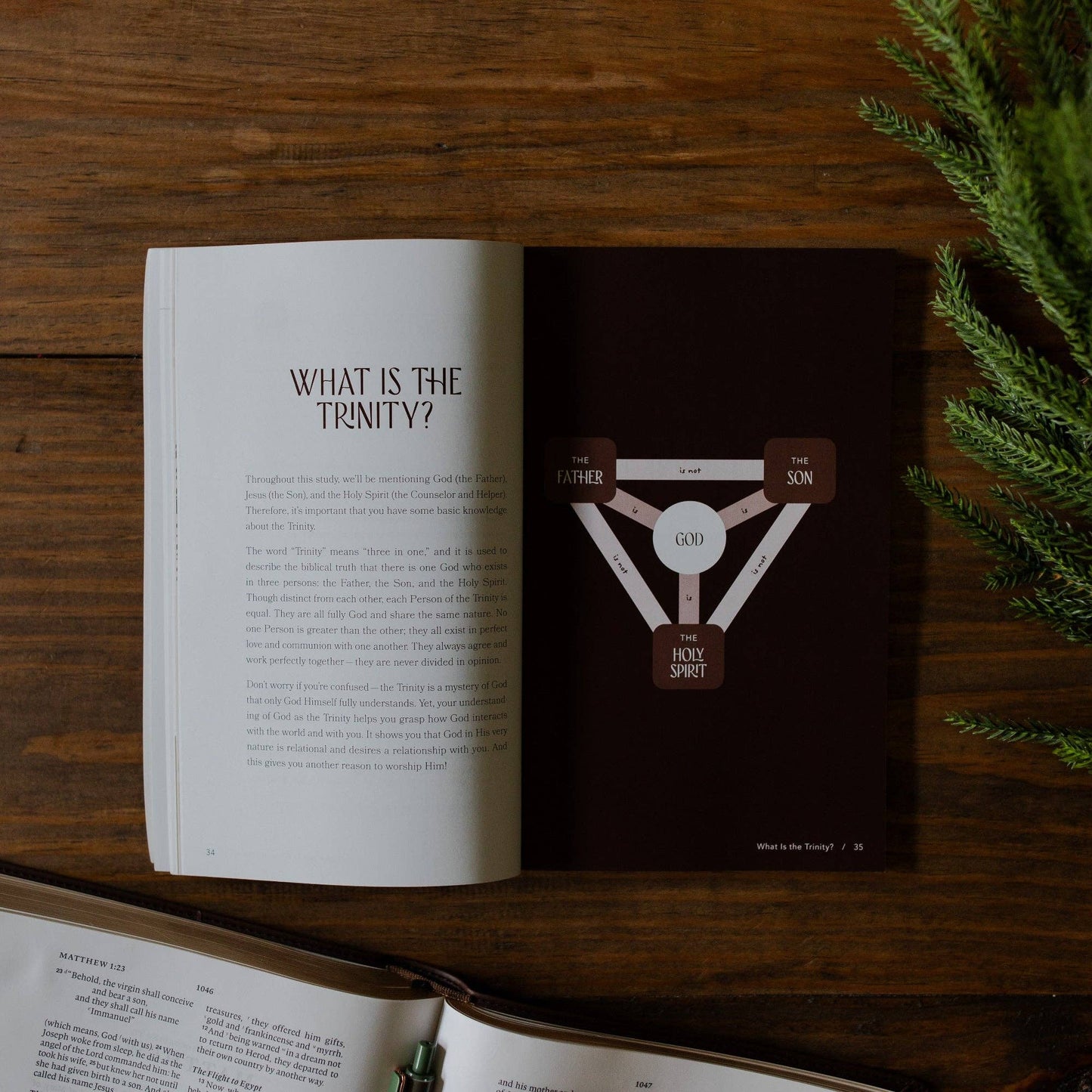 With You Always | Discovering God's Presence Through the Advent Story | Teen Study