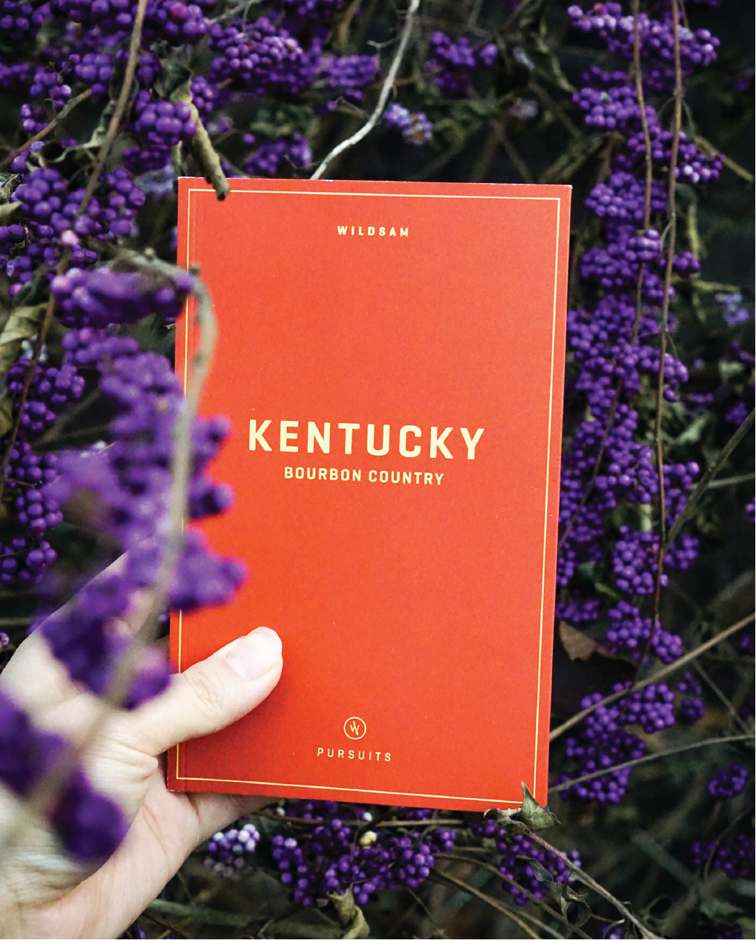 Kentucky Bourbon Country Field Guide