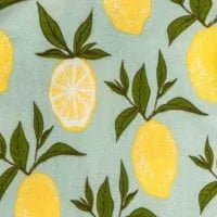 Lemon Organic Cotton Dress and Bloomer Set
