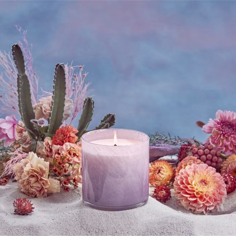 Midnight Cactus Desert Villa|LAFCO Candles