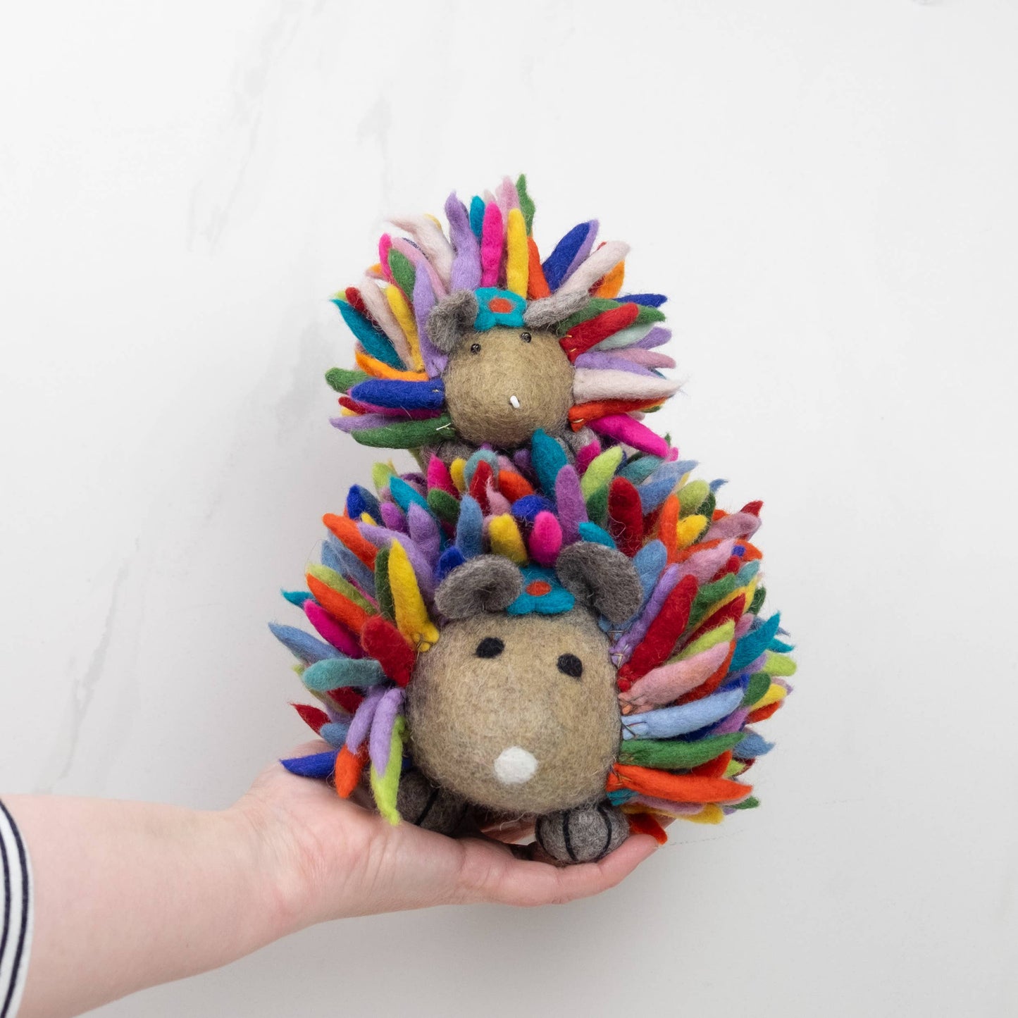 Hedgehog Small Rainbow